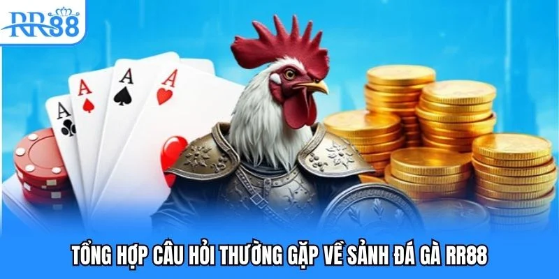 Tổng hợp câu hỏi thường gặp về sảnh đá gà RR88