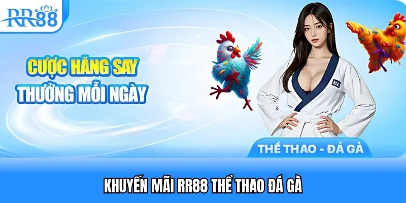 Khuyến mại RR88 thể thao - đá gà